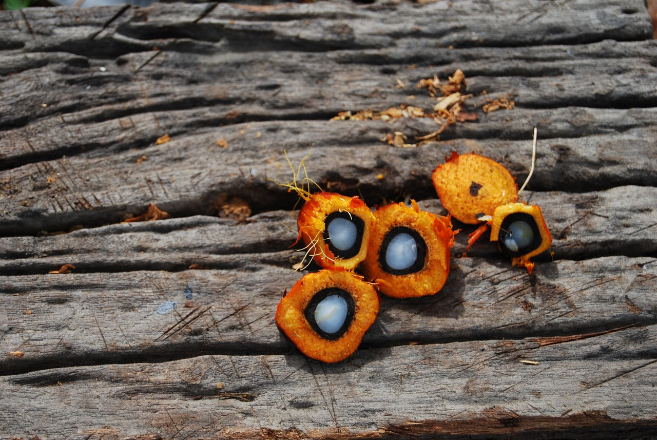 What if a single natural oil could transform the way your hair feels?