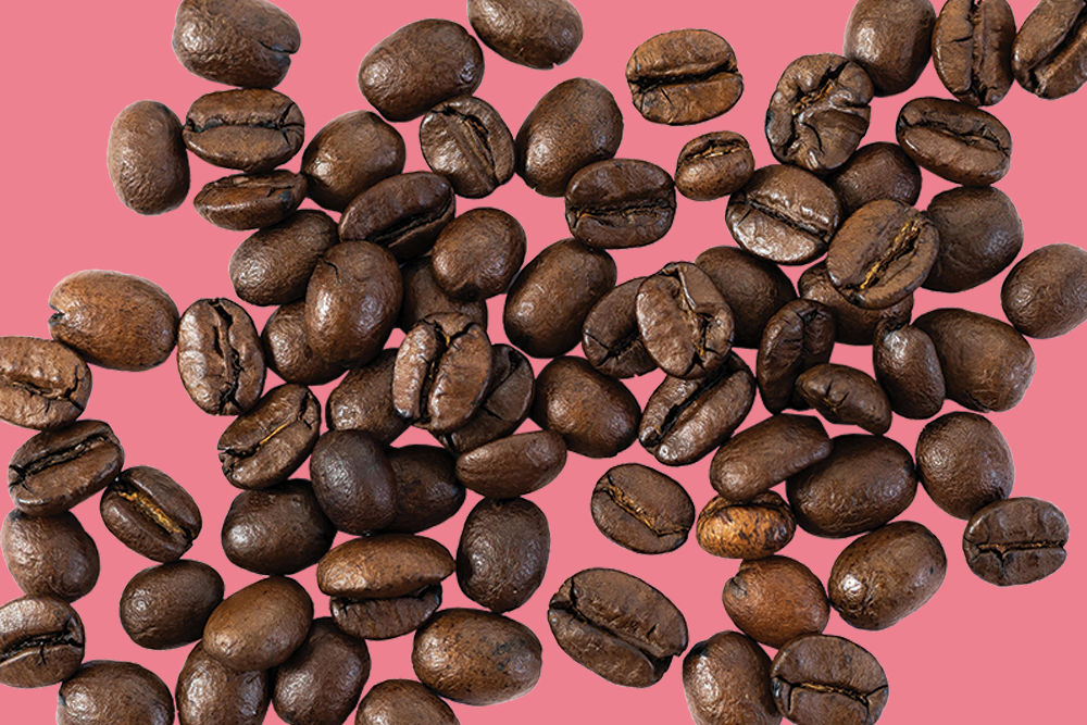 The Power of Botanicals: Inside the HQ Get Me Range