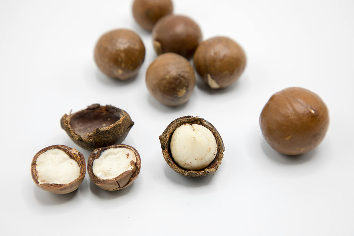 Why Macadamia Oil is a Game-Changer for Hair