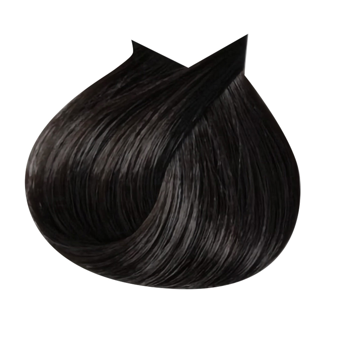 B.LIFE 4.1 ASH BROWN