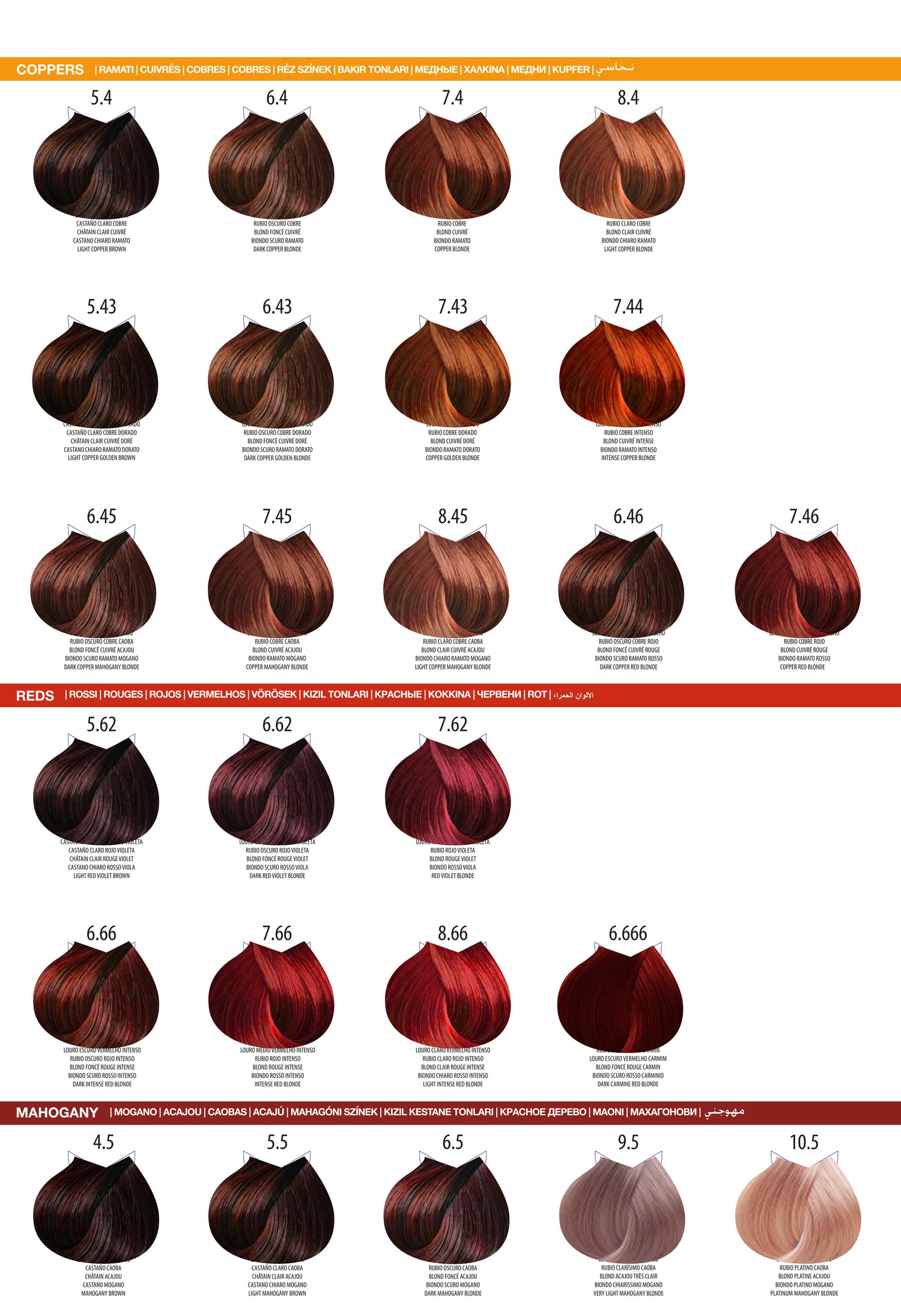 Life Color Chart