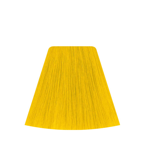LIFECOLOR YELLOW